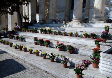 Riposto, dona al cimitero piante e fiori invenduti per il Coronavirus. Il sindaco Caragliano: "Grande gesto"