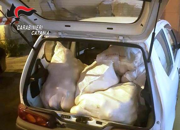 Motta Sant’Anastasia, preso un altro razziatore di agrumi: refurtiva devoluta alla Caritas