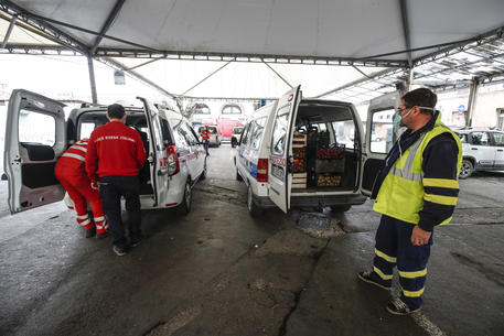 Il Governo stanzia 400 milioni per aiuti alimentari: le somme assegnate ai Comuni in Provincia di Catania