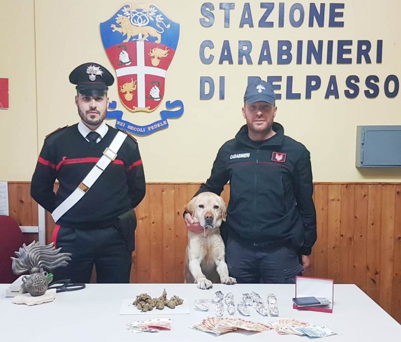 Belpasso, il cane Ivan fiuta la marijuana: un arrestato
