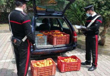 Palagonia, preso con un carico di arance rubate: denunciato