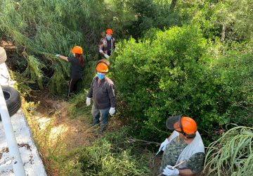 Mascali, al via gli interventi di bonifica boschetto fronte mare a Sant'Anna e Fondachello