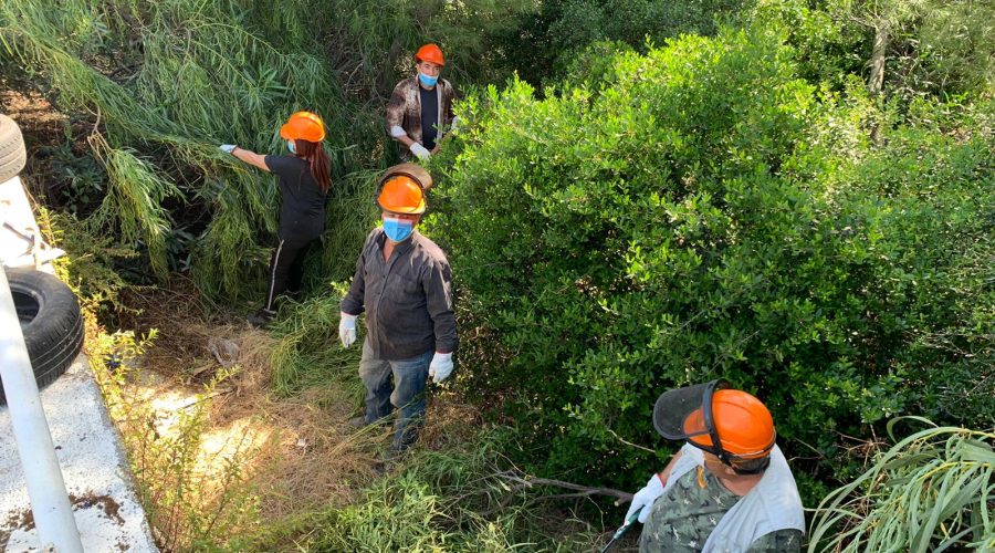 Mascali, al via gli interventi di bonifica boschetto fronte mare a Sant’Anna e Fondachello