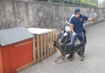 Cane a guardia di un tombino con droga a Catania, due arresti