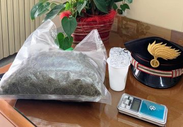 Vede il cane antidroga e consegna circa 400 grammi di marijuana: arrestato