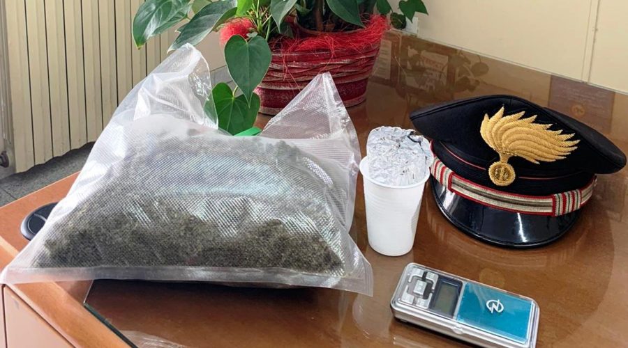 Vede il cane antidroga e consegna circa 400 grammi di marijuana: arrestato