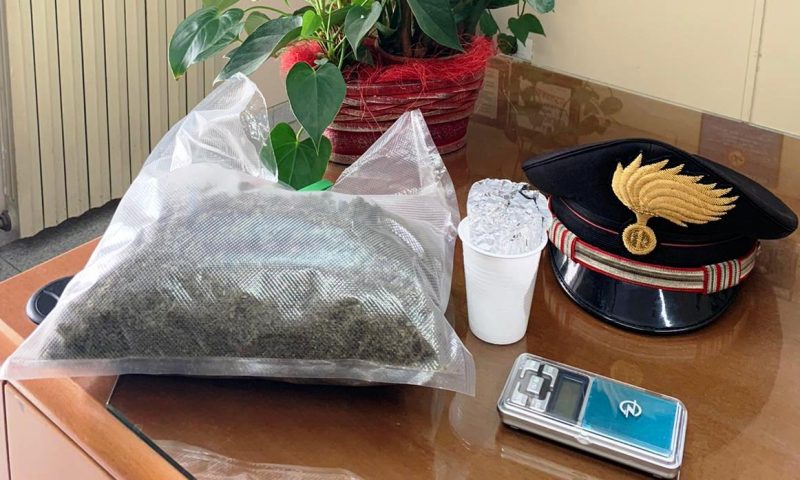Vede il cane antidroga e consegna circa 400 grammi di marijuana: arrestato