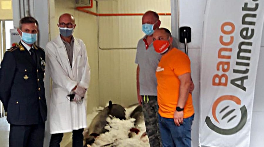 Le Fiamme Gialle sequestrano 1.500 kg. di tonno rosso e lo donano al Banco Alimentare