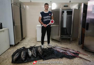 Catania, sequestrati alcuni esemplari di pesce spada sottomisura