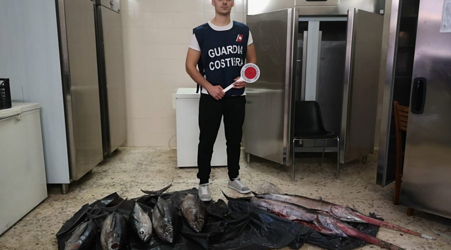Catania, sequestrati alcuni esemplari di pesce spada sottomisura