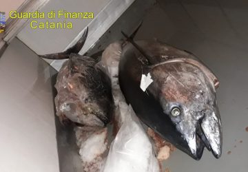 Catania: sequestrati al Faro Biscari 2 esemplari di tonno rosso