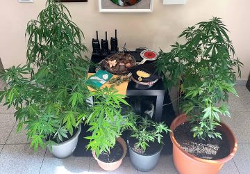 Pedara, scoperta una mini coltivazione indoor di canapa indiana: due arresti