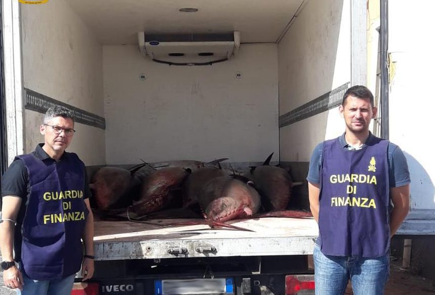 Acitrezza, sequestrati 6 esemplari di tonno rosso VIDEO