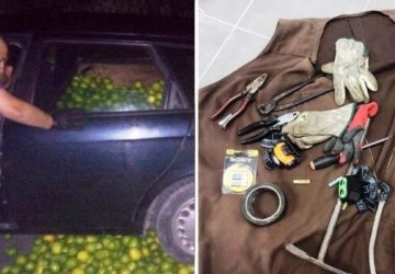 Avola, maxi furto di limoni: arrestati quattro ladri catanesi in trasferta