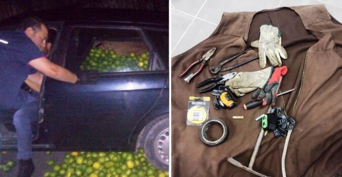 Avola, maxi furto di limoni: arrestati quattro ladri catanesi in trasferta