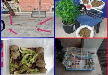 Controlli serrati dei carabinieri nei Comuni della cintura catanese: sequestrati 4 Kg di marijuana e 1 fucile. Denunciate 4 persone