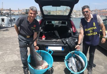 Catania: sequestrati circa 400 kg. di tonno rosso