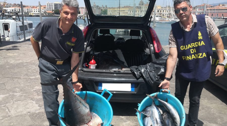 Catania: sequestrati circa 400 kg. di tonno rosso