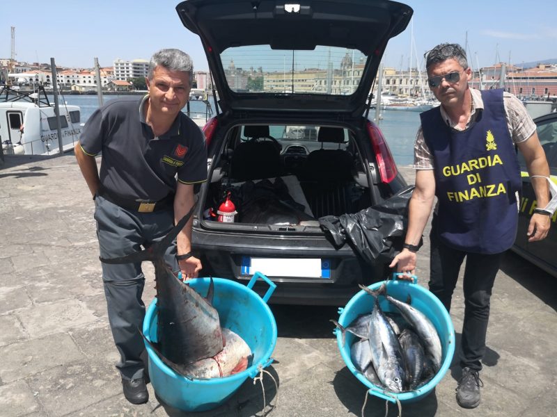 Catania: sequestrati circa 400 kg. di tonno rosso