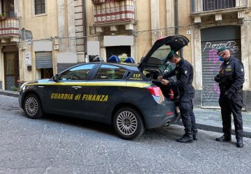 Arrestato dai baschi verdi 36enne che coltivava piante di marijuana in casa