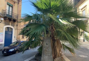 Giarre, in pieno centro la storia calpestata dal degrado urbano