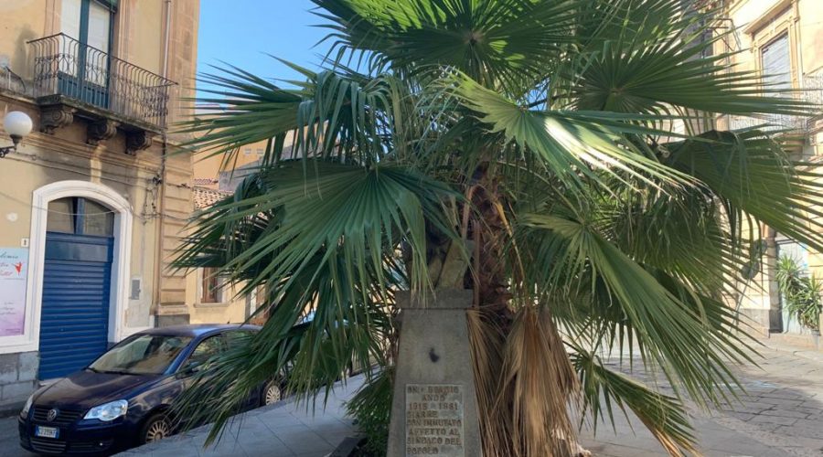 Giarre, in pieno centro la storia calpestata dal degrado urbano