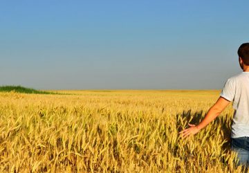 Esonero contributivo giovani agricoltori: serve la visura Registro Nazionale Aiuti