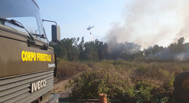 Marina di Cottone, divampa un vasto incendio che lambisce l’ex Siace VD