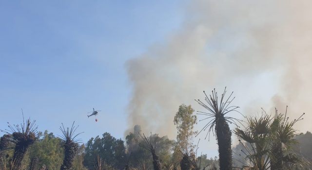 Marina di Cottone, divampa un vasto incendio che lambisce l’ex Siace VD