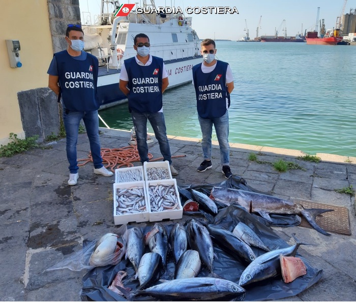 Catania, Guardia costiera sequestrati 250 kg pesce in pescheria