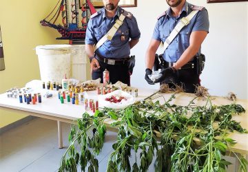 Maniace, coltivava droga e sotterrava munizioni: denunciato