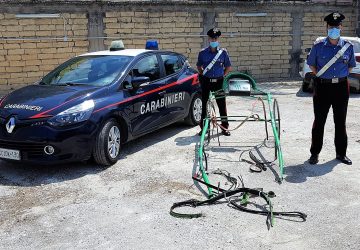 Carabinieri interrompono una corsa clandestina di cavalli: denunciati 16 catanesi