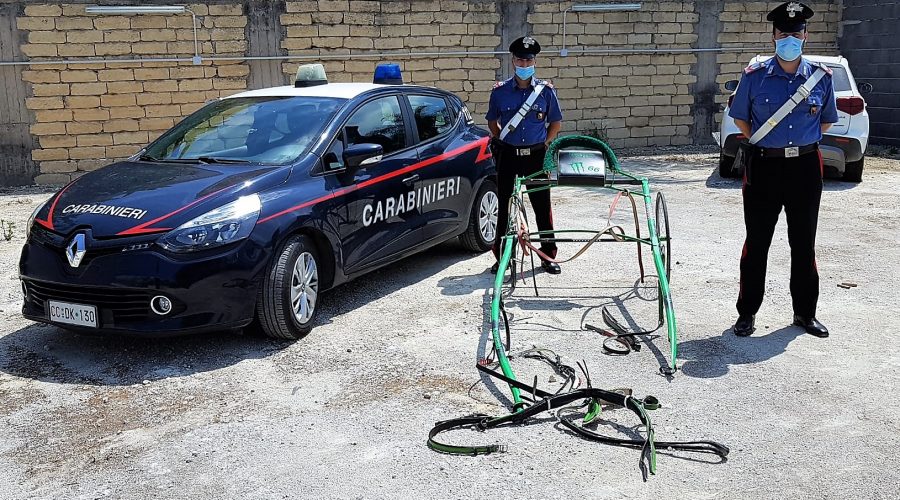 Carabinieri interrompono una corsa clandestina di cavalli: denunciati 16 catanesi