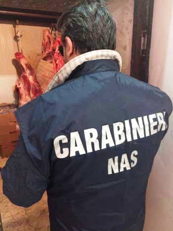 Catania, Sequestrata carne di cavallo macellata clandestinamente