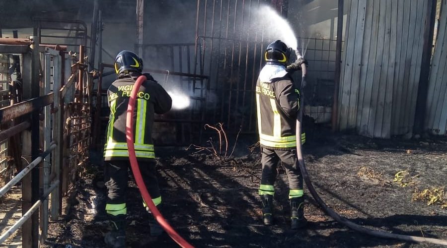 Paternò, divampa incendio in un fienile