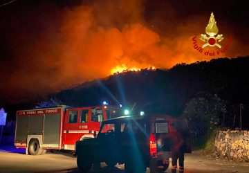 Mitogio, divampa incendio all'interno di una vasta area. In azione elicotteri e canadair