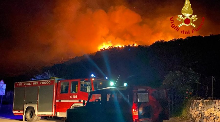 Mitogio, divampa incendio all’interno di una vasta area. In azione elicotteri e canadair