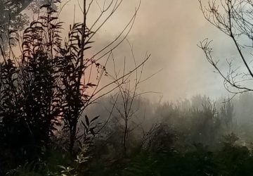 Vasto incendio nell'agro di Linguaglossa: intervento di canadair ed elicotteri