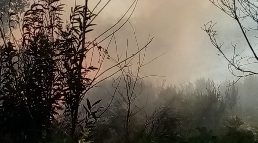 Vasto incendio nell’agro di Linguaglossa: intervento di canadair ed elicotteri