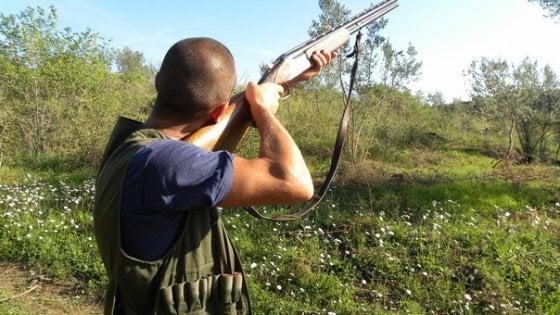 Caccia, il CGA conferma le decisioni del TAR contro il calendario venatorio