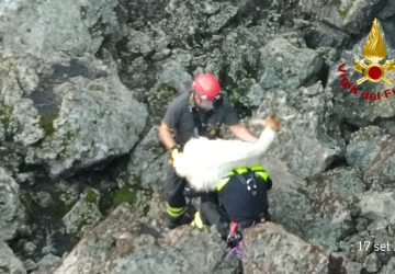 Bronte, Vigili del fuoco salvano caprette intrappolate in una grotta