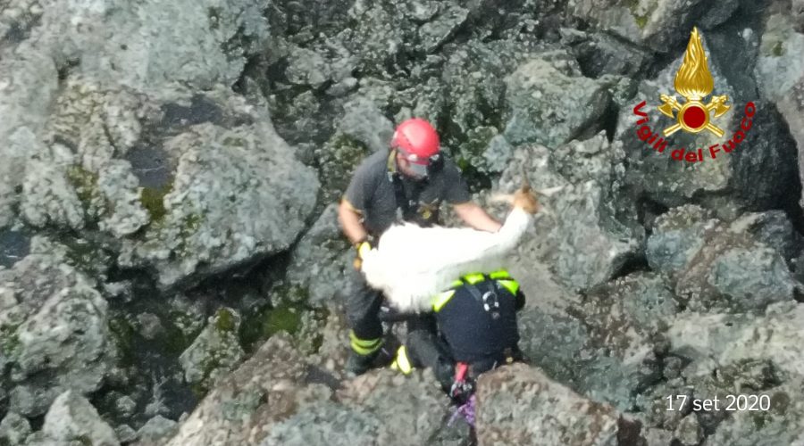 Bronte, Vigili del fuoco salvano caprette intrappolate in una grotta