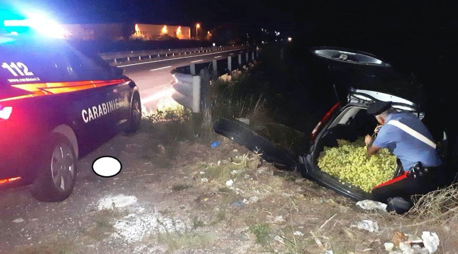 Licodia Eubea, inseguiti dai Carabinieri abbandonano auto e 8 quintali di uva rubata