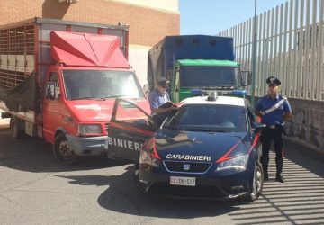 Linguaglossa, arrestati quattro razziatori di bestiame