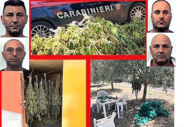 Belpasso, duro colpo ai clan della zona: sequestrati 70 Kg di marijuana. Arrestati 4 paternesi
