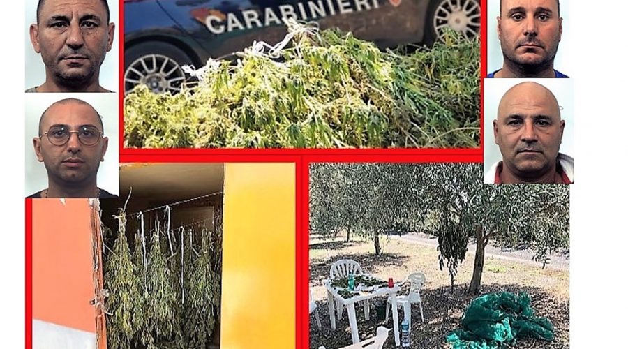 Belpasso, duro colpo ai clan della zona: sequestrati 70 Kg di marijuana. Arrestati 4 paternesi
