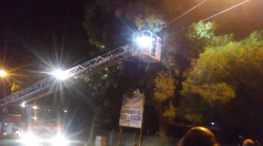 Giarre, albero pericolante rimosso dai Vigili del fuoco in via Penturo