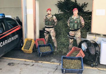 Operazione antidroga: 6 persone arrestate. Sequestrati 1.300 Kg di marijuana NOMI FOTO VIDEO