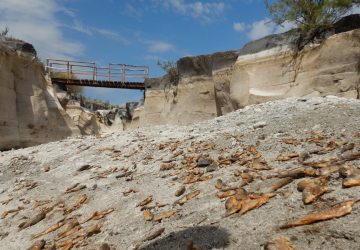 Alcantara: il fiume che non c'&egrave;