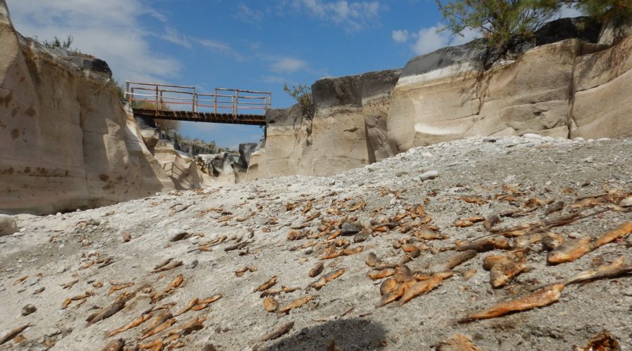 Alcantara: il fiume che non c’è